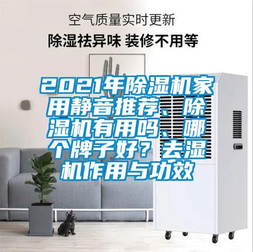 2021年除濕機(jī)家用靜音推薦、除濕機(jī)有用嗎、哪個(gè)牌子好？去濕機(jī)作用與功效