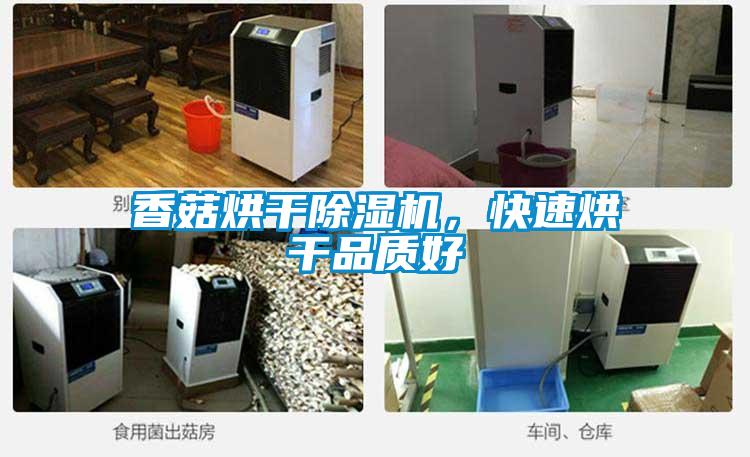 香菇烘干除濕機(jī)，快速烘干品質(zhì)好