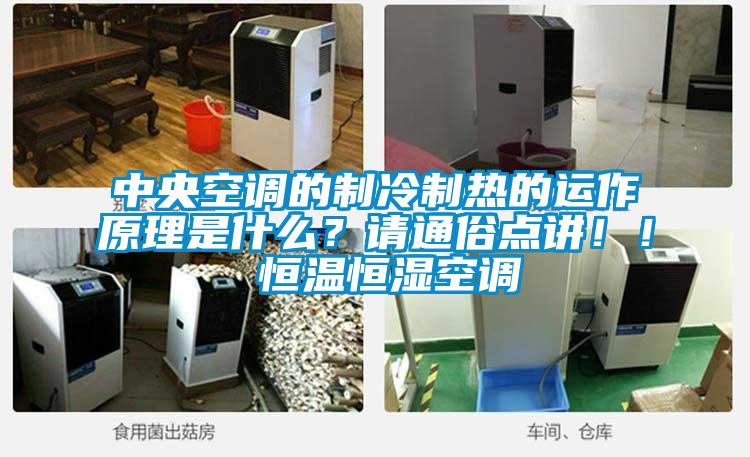 中央空調(diào)的制冷制熱的運(yùn)作原理是什么？請(qǐng)通俗點(diǎn)講??！ 恒溫恒濕空調(diào)
