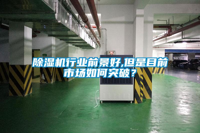 除濕機(jī)行業(yè)前景好,但是目前市場如何突破？