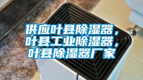 供應(yīng)葉縣除濕器，葉縣工業(yè)除濕器，葉縣除濕器廠家