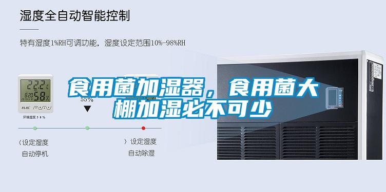 食用菌加濕器，食用菌大棚加濕必不可少