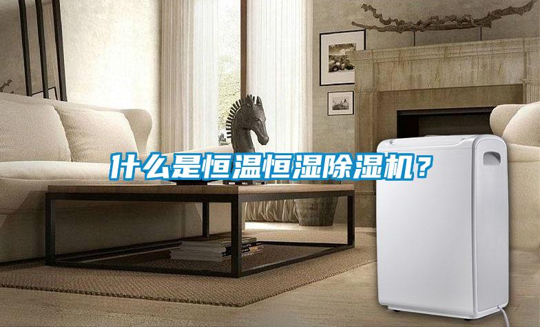 什么是恒溫恒濕除濕機(jī)？