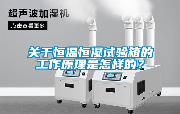 關(guān)于恒溫恒濕試驗(yàn)箱的工作原理是怎樣的？