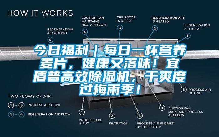 今日福利｜每日一杯營養(yǎng)麥片，健康又落味！宜盾普高效除濕機，干爽度過梅雨季！