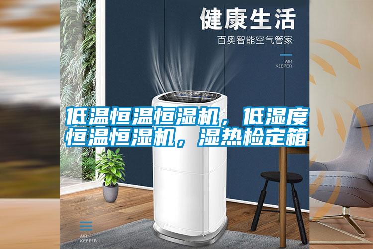 低溫恒溫恒濕機(jī)，低濕度恒溫恒濕機(jī)，濕熱檢定箱