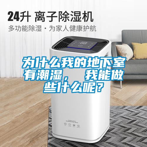 為什么我的地下室有潮濕， 我能做些什么呢？