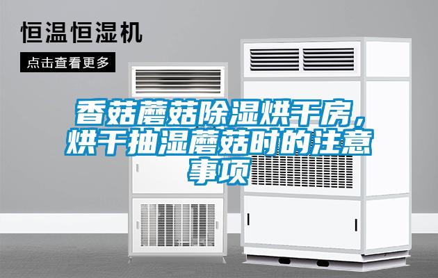 香菇蘑菇除濕烘干房，烘干抽濕蘑菇時(shí)的注意事項(xiàng)