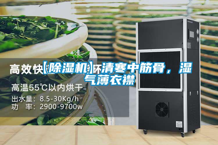 【除濕機(jī)】清寒中筋骨，濕氣薄衣襟