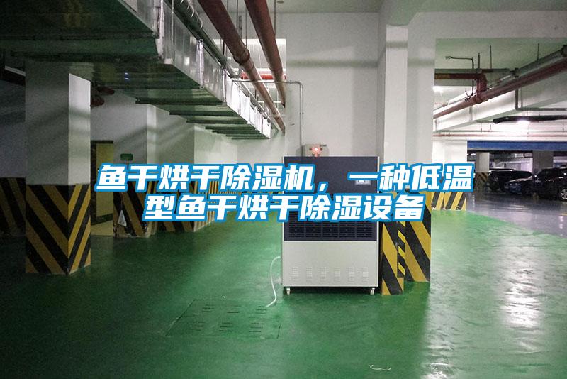 魚干烘干除濕機，一種低溫型魚干烘干除濕設(shè)備