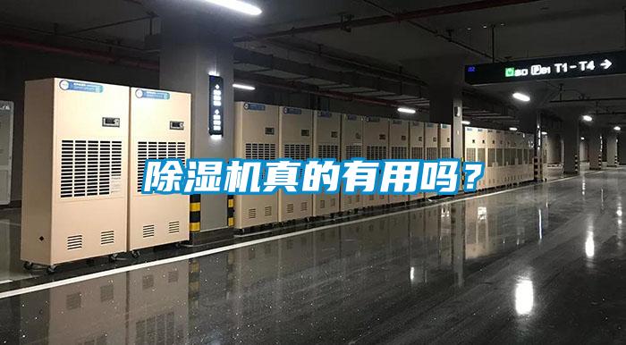 除濕機真的有用嗎？