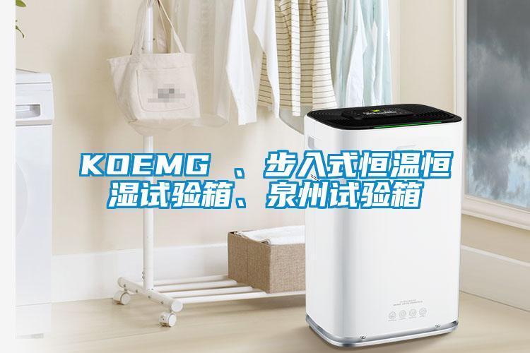 KOEMG 、步入式恒溫恒濕試驗箱、泉州試驗箱