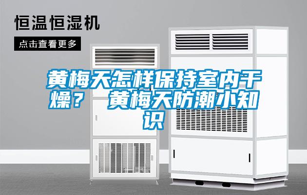 黃梅天怎樣保持室內(nèi)干燥？ 黃梅天防潮小知識