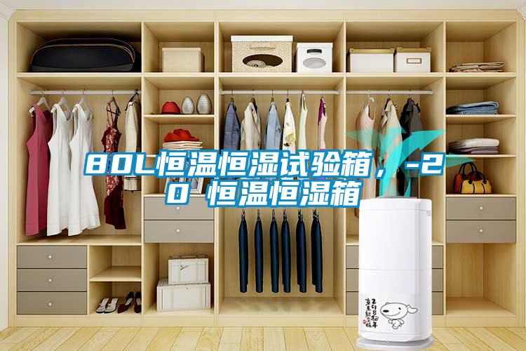 80L恒溫恒濕試驗(yàn)箱，-20℃恒溫恒濕箱