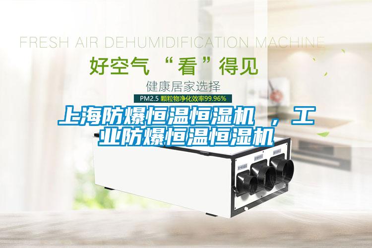 上海防爆恒溫恒濕機 ，工業(yè)防爆恒溫恒濕機