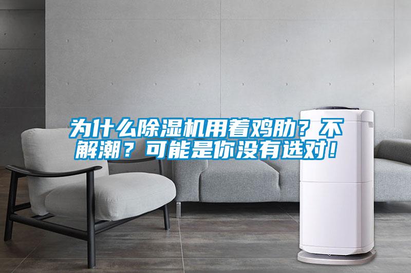 為什么除濕機(jī)用著雞肋？不解潮？可能是你沒有選對！