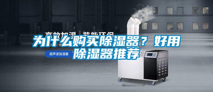 為什么購買除濕器？好用除濕器推薦