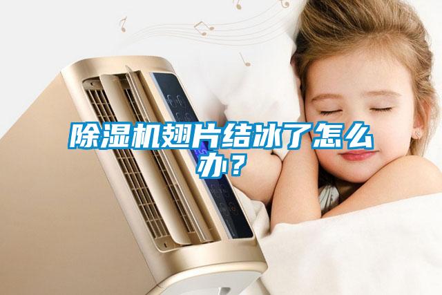 除濕機翅片結冰了怎么辦？