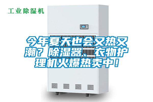 今年夏天也會又熱又潮？除濕器、衣物護理機火爆熱賣中！