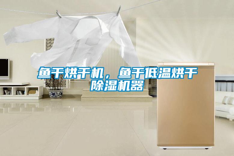 魚干烘干機，魚干低溫烘干除濕機器