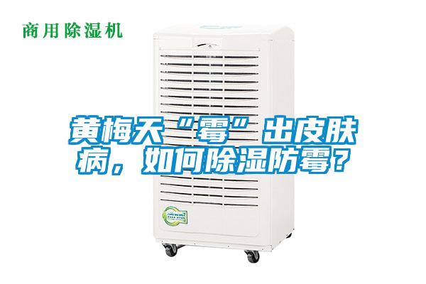 黃梅天“霉”出皮膚病，如何除濕防霉？