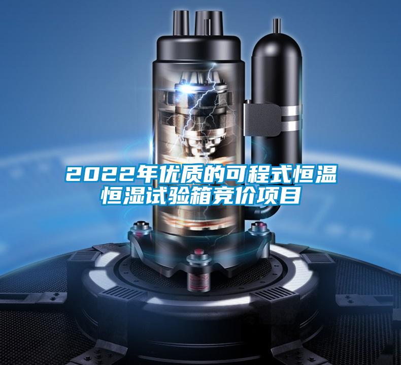 2022年優(yōu)質(zhì)的可程式恒溫恒濕試驗(yàn)箱競價項(xiàng)目