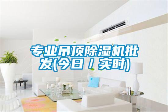 專業(yè)吊頂除濕機(jī)批發(fā)(今日／實(shí)時)