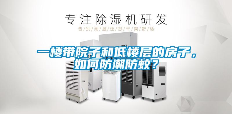 一樓帶院子和低樓層的房子，如何防潮防蚊？