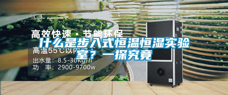 什么是步入式恒溫恒濕實驗室？一探究竟
