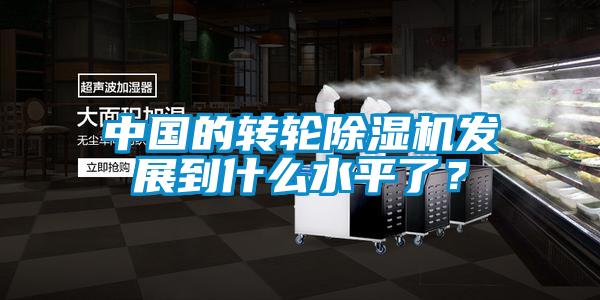 中國的轉(zhuǎn)輪除濕機發(fā)展到什么水平了？