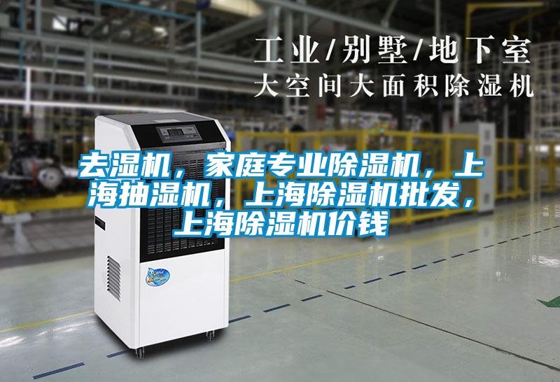 去濕機(jī)，家庭專業(yè)除濕機(jī)，上海抽濕機(jī)，上海除濕機(jī)批發(fā)，上海除濕機(jī)價(jià)錢