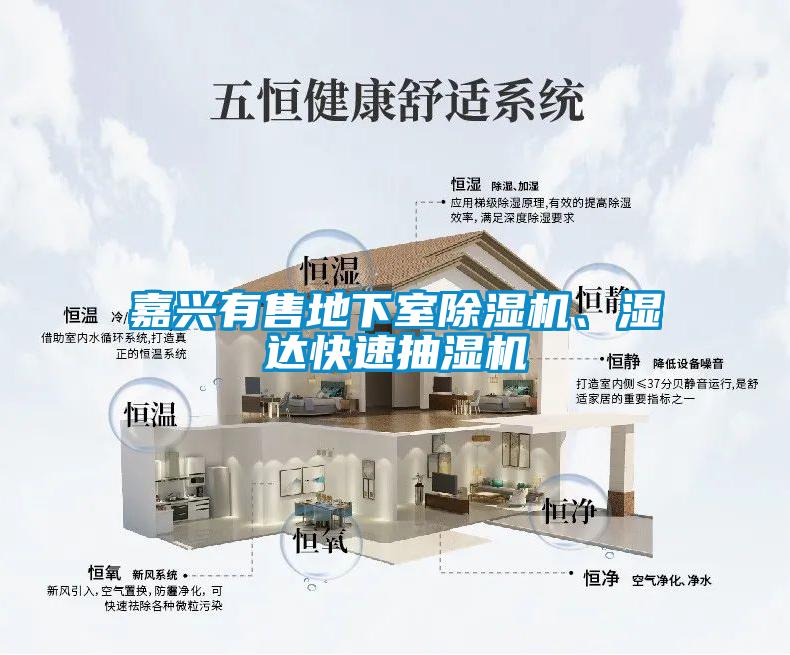 嘉興有售地下室除濕機(jī)、濕達(dá)快速抽濕機(jī)