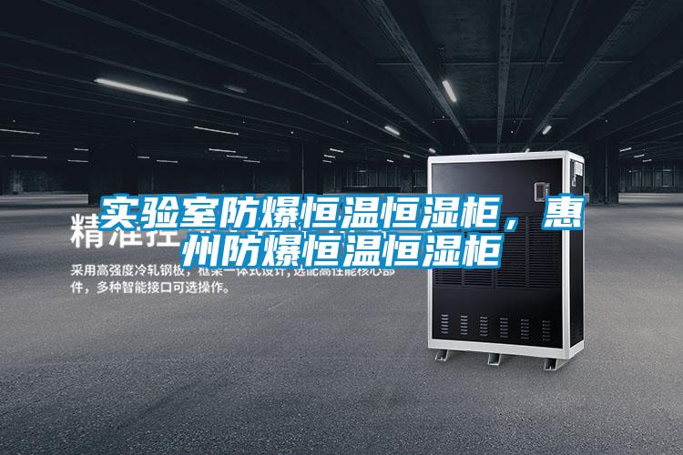 實(shí)驗(yàn)室防爆恒溫恒濕柜，惠州防爆恒溫恒濕柜