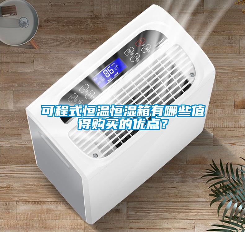 可程式恒溫恒濕箱有哪些值得購(gòu)買(mǎi)的優(yōu)點(diǎn)？