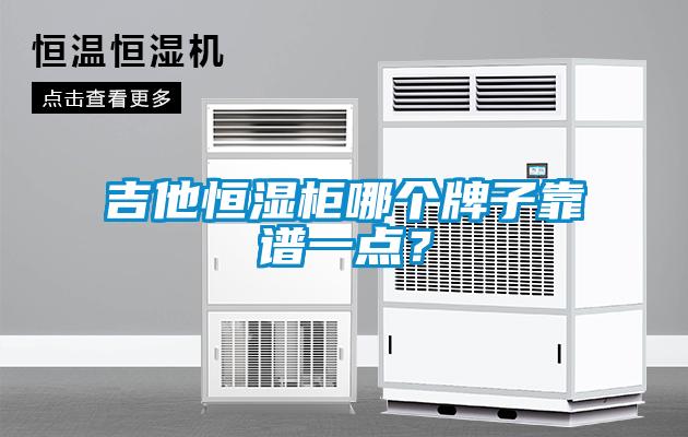 吉他恒濕柜哪個(gè)牌子靠譜一點(diǎn)？