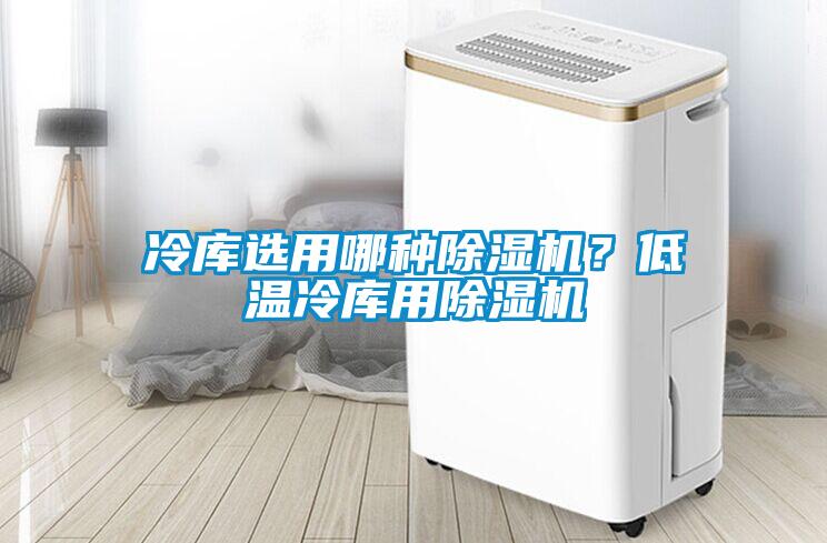 冷庫選用哪種除濕機？低溫冷庫用除濕機