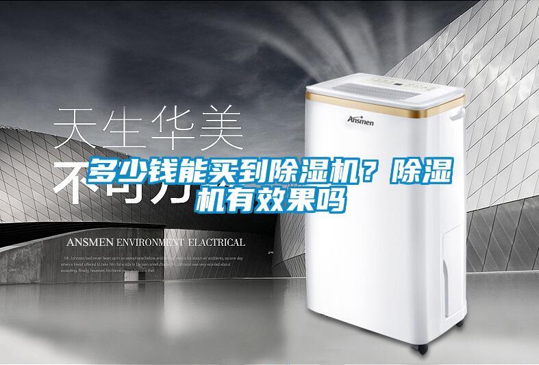 多少錢能買到除濕機(jī)？除濕機(jī)有效果嗎