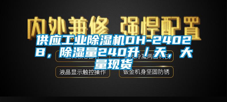 供應工業(yè)除濕機DH-2402B，除濕量240升／天，大量現(xiàn)貨
