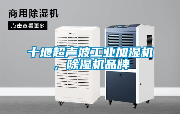 十堰超聲波工業(yè)加濕機(jī)，除濕機(jī)品牌
