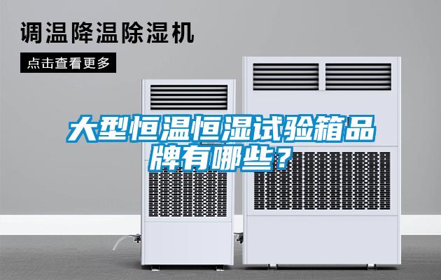 大型恒溫恒濕試驗(yàn)箱品牌有哪些？