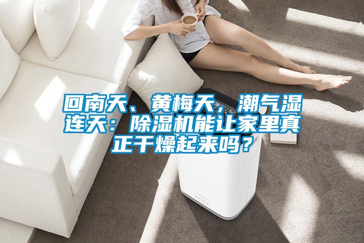 回南天、黃梅天，潮氣濕連天：除濕機能讓家里真正干燥起來嗎？