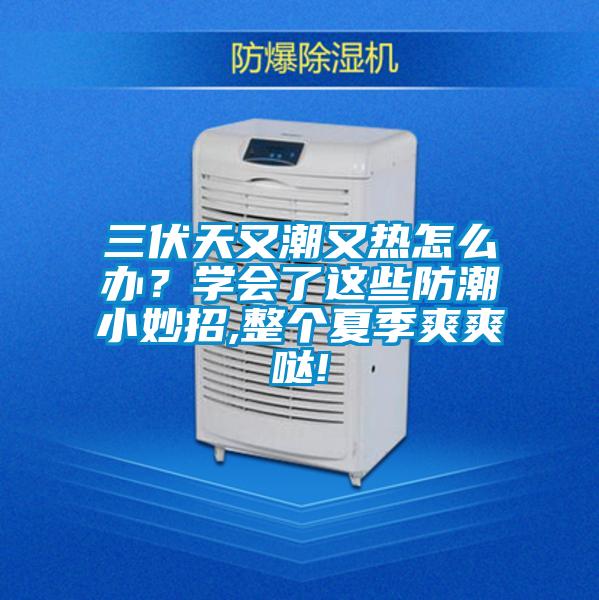 三伏天又潮又熱怎么辦？學(xué)會(huì)了這些防潮小妙招,整個(gè)夏季爽爽噠!