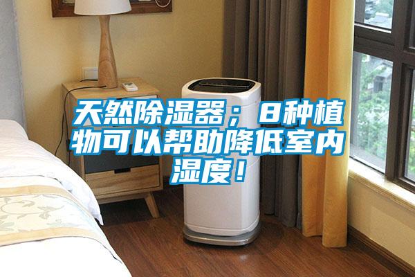 天然除濕器；8種植物可以幫助降低室內(nèi)濕度！
