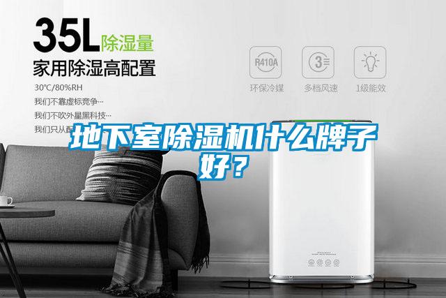 地下室除濕機(jī)什么牌子好？