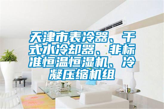 天津市表冷器、干式水冷卻器、非標準恒溫恒濕機、冷凝壓縮機組
