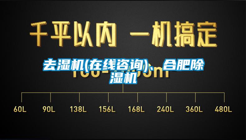 去濕機(在線咨詢)、合肥除濕機