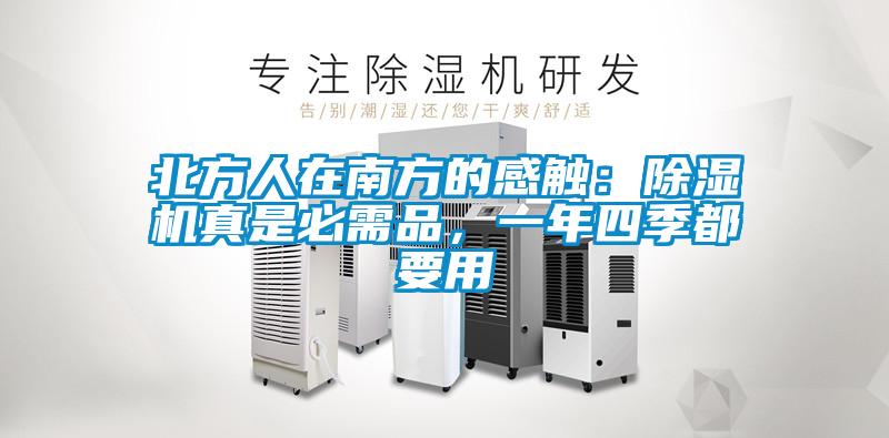 北方人在南方的感觸：除濕機真是必需品，一年四季都要用