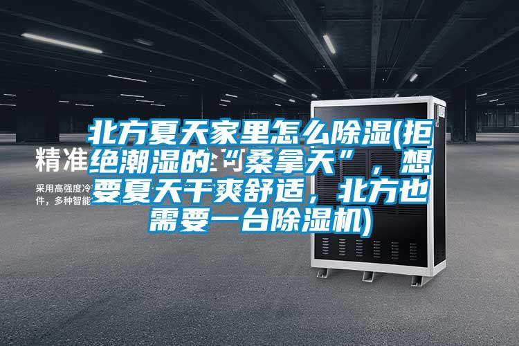 北方夏天家里怎么除濕(拒絕潮濕的“桑拿天”，想要夏天干爽舒適，北方也需要一臺除濕機)