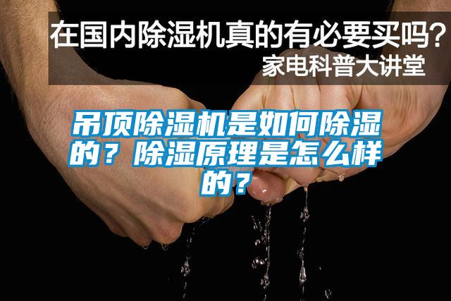 吊頂除濕機是如何除濕的？除濕原理是怎么樣的？