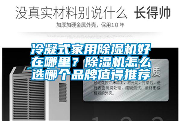 冷凝式家用除濕機好在哪里？除濕機怎么選哪個品牌值得推薦